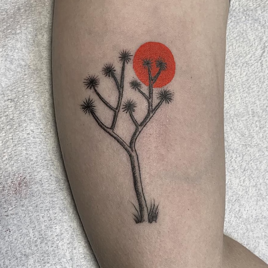 Fine line tattoo by Stephen Carballo, stephen carballo portfolio import