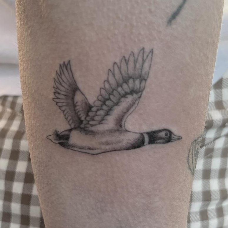 Fine line tattoo by Stephen Carballo, stephen carballo portfolio import