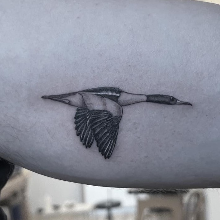 Fine line tattoo by Stephen Carballo, stephen carballo portfolio import