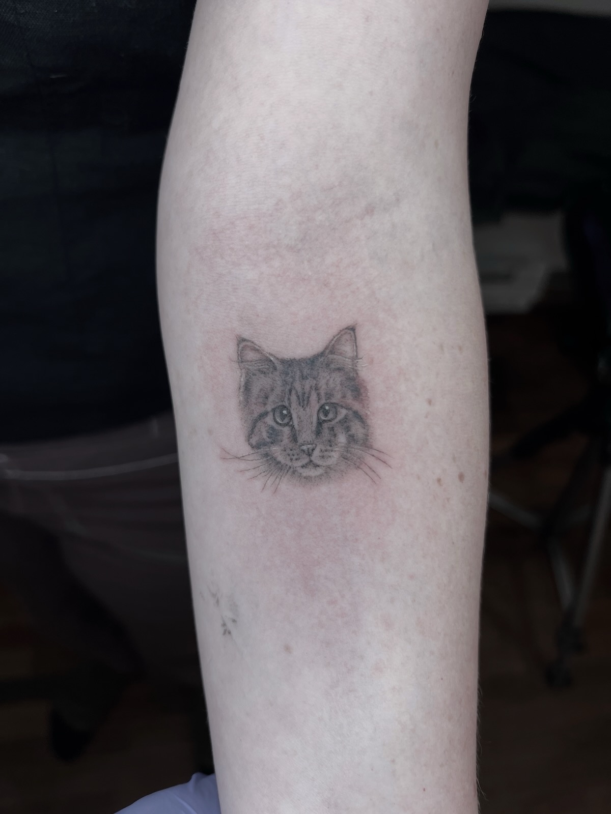 Fine line tattoo by Stephen Carballo