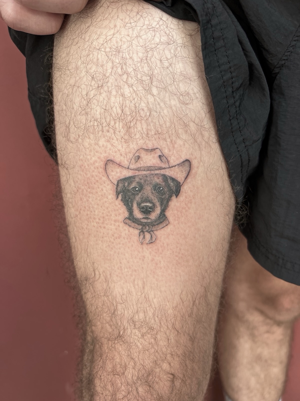 Fine line tattoo by Stephen Carballo